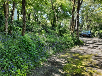 BACK TO BASIC Creatieve en inspirerende schrijfweek in de Vendée - Afbeelding 3