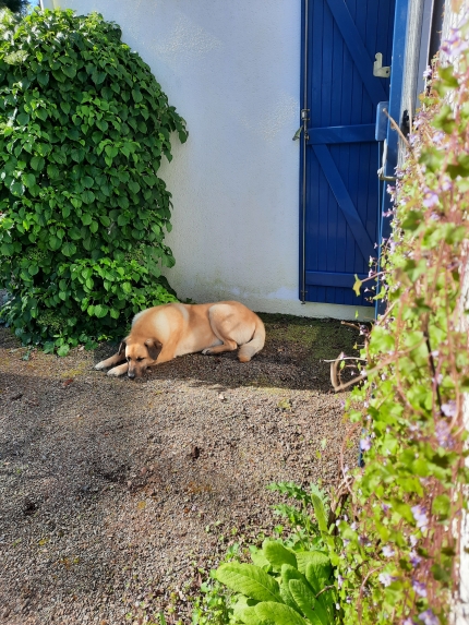 BACK TO BASIC Creatieve en inspirerende schrijfweek in de Vendée - Afbeelding 5