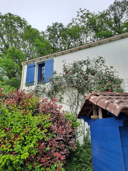 BACK TO BASIC Creatieve en inspirerende schrijfweek in de Vendée - Afbeelding 6