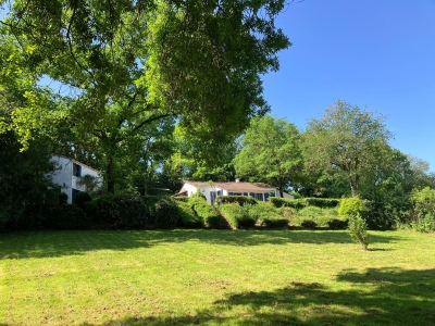 BACK TO BASIC Creatieve en inspirerende schrijfweek in de Vendée