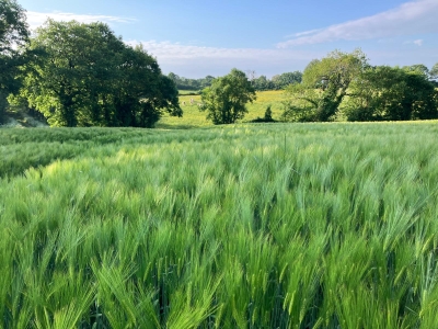 BACK TO BASIC Creatieve en inspirerende schrijfweek in de Vendée - Afbeelding 10